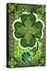 Shamrocks-David Galchutt-Premier Image Canvas