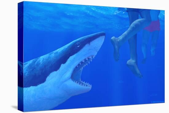 Shark Attack-Chris Butler-Premier Image Canvas