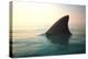 Shark Fin above Ocean Water-null-Premier Image Canvas