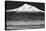 Shasta County Spring BW-Douglas Taylor-Stretched Canvas