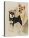 Sheba Inu-Barbara Keith-Premier Image Canvas