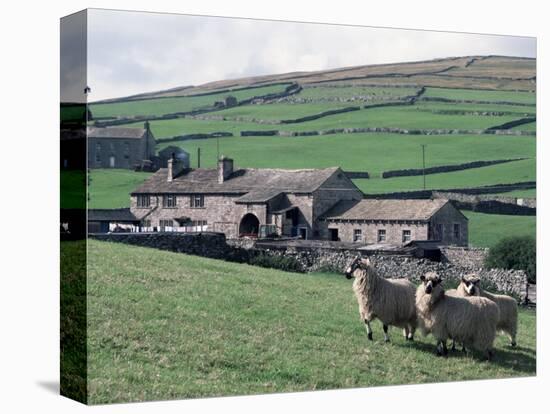 Sheep and Farm, Fox Up, Yorkshire, England, United Kingdom-Adam Woolfitt-Premier Image Canvas