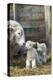 Sheep and Lambs-null-Premier Image Canvas