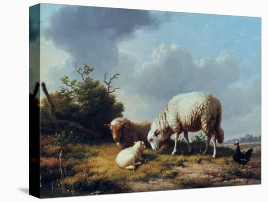 Sheep and Poultry in a Landscape, 19th Century-Eugène Verboeckhoven-Premier Image Canvas