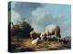 Sheep and Poultry in a Landscape, 19th Century-Eugène Verboeckhoven-Premier Image Canvas