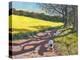 Sheep And Yellow Field-Andrew Macara-Premier Image Canvas