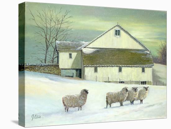 Sheep at Granough-Jerry Cable-Stretched Canvas