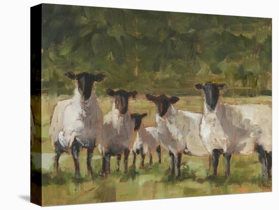 Sheep Family II-Ethan Harper-Stretched Canvas