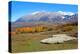 Sheep Farm near Kebler Pass in Colorado-SNEHITDESIGN-Premier Image Canvas