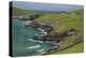 Sheep Fences and Rock Walls Along the Dingle Peninsula-Michael Nolan-Premier Image Canvas
