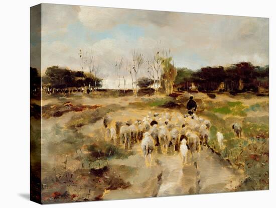 Sheep Flock-Anton Mauve-Premier Image Canvas