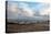 Sheep foraging on frozen fields, Lower Pennines, Eden Valley, Cumbria, Unired Kingdom-James Emmerson-Premier Image Canvas