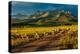 Sheep graze on Hastings Mesa near Ridgway, Colorado from truck-null-Premier Image Canvas