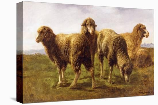 Sheep Grazing in a Meadow-Rosa Bonheur-Premier Image Canvas
