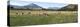 Sheep grazing in field, Riverrun Lodge, Wanaka, Queenstown-Lakes District, Otago Region, South I...-null-Premier Image Canvas