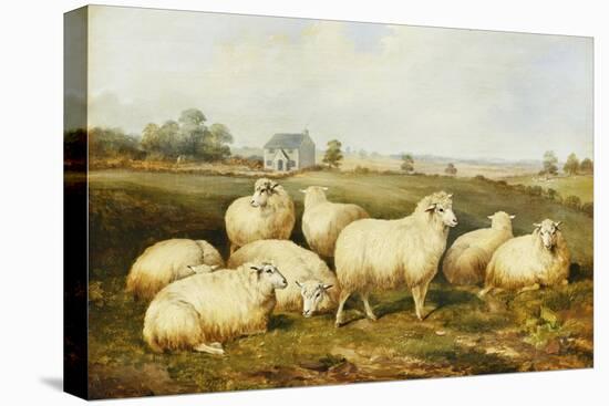 Sheep in a Meadow-James Charles Morris-Premier Image Canvas