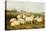 Sheep in a Meadow-James Charles Morris-Premier Image Canvas