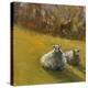 Sheep in Field V-Marilyn Wendling-Stretched Canvas