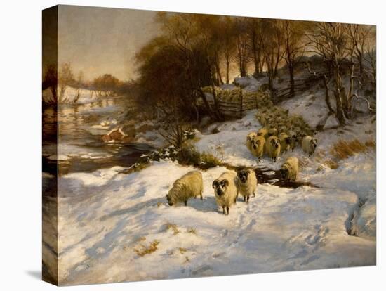 Sheep in Snow, 1935 (Oil on Canvas)-Joseph Farquharson-Premier Image Canvas