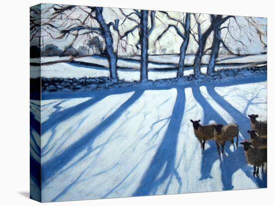 Sheep in Snow, Derbyshire-Andrew Macara-Premier Image Canvas