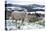 Sheep in Snow-null-Premier Image Canvas