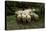 Sheep in the Forest, 19th Century-Anton Mauve-Premier Image Canvas