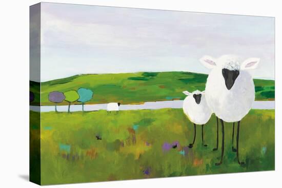 Sheep in the Meadow-Phyllis Adams-Stretched Canvas