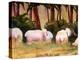 Sheep Landscape Art Print-Blenda Tyvoll-Stretched Canvas