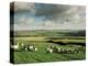 Sheep on Abney Moor on an Autumn Morning, Peak District National Park, Derbyshire, England-David Hughes-Premier Image Canvas