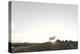 Sheep on Dune, the Sun, Back Light, List, Island Sylt, Schleswig Holstein, Germany-Axel Schmies-Premier Image Canvas