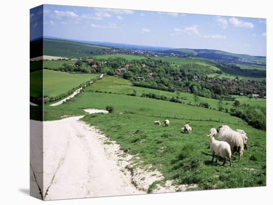 Sheep on the South Downs Near Lewes, East Sussex, England, United Kingdom-Jenny Pate-Premier Image Canvas