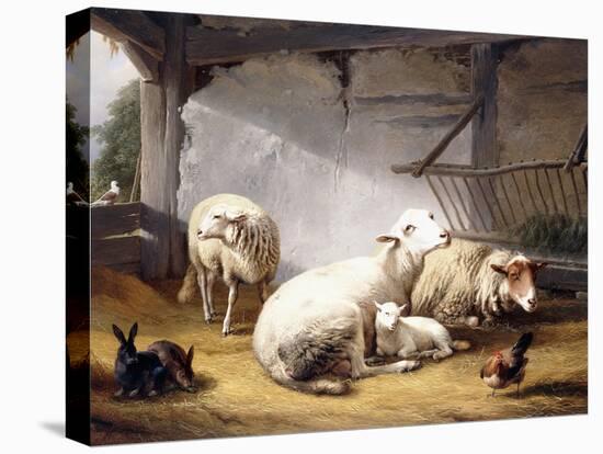 Sheep, Rabbits and a Chicken in a Barn, 1859-Eugene Joseph Verboeckhoven-Premier Image Canvas