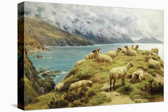 Sheep Reposing, Dalby Bay, Isle of Man-Basil Bradley-Premier Image Canvas