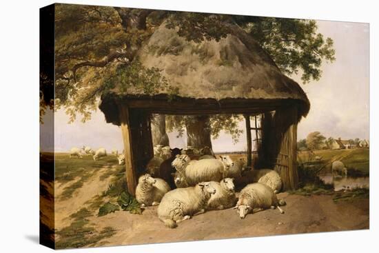 Sheep Resting under a Shelter-Thomas Sidney Cooper-Premier Image Canvas