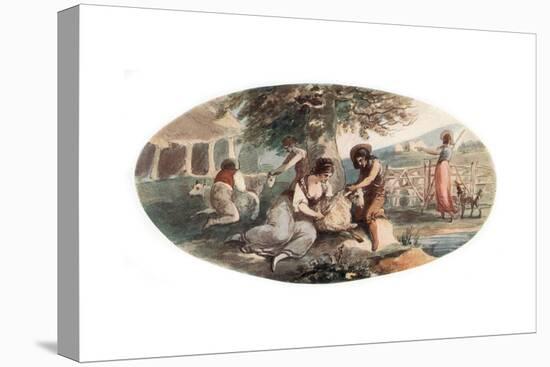 Sheep Shearing-William Hamilton-Premier Image Canvas