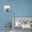 Sheep Standing Side by Side-Adrian Burke-Premier Image Canvas displayed on a wall