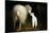 Sheep With Lamb in a Barn-null-Stretched Canvas