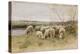 Sheep-Francois Pieter Ter Meulen-Premier Image Canvas