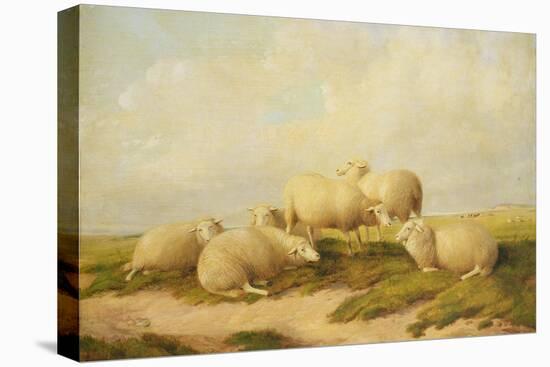 Sheep-Thomas Sidney Cooper-Premier Image Canvas