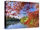Sheffield Park Garden, the Middle Lake Framed by Scarlet Acer Leaves, Autumn, East Sussex, England-Ruth Tomlinson-Premier Image Canvas