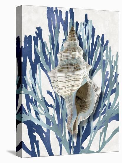 Shell Coral Aqua Blue III-Caroline Kelly-Stretched Canvas