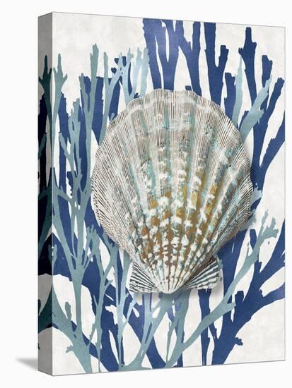 Shell Coral Aqua Blue IV-Caroline Kelly-Stretched Canvas