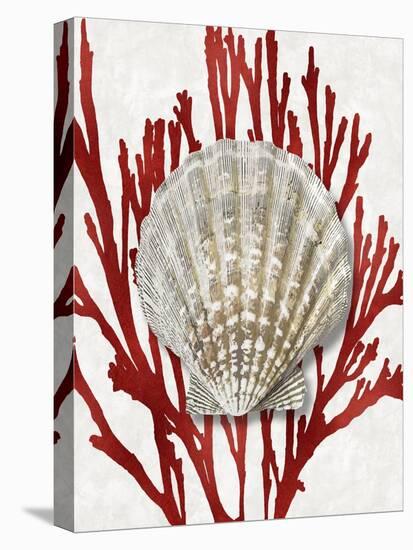 Shell Coral Red IV-Caroline Kelly-Stretched Canvas