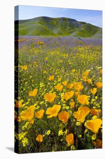 Shell Creek, California-Bob Gibbons-Premier Image Canvas