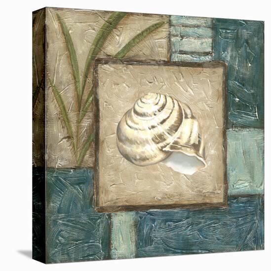 Shell Montage III-Vision Studio-Stretched Canvas