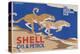 Shell Oil & Petrol Cheetahs-null-Stretched Canvas