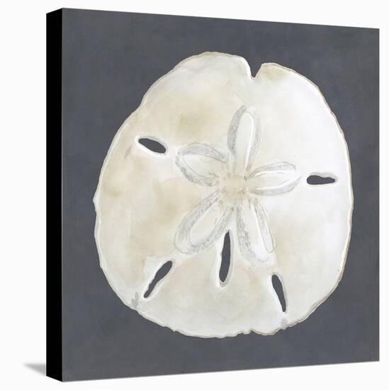 Shell on Slate II-Megan Meagher-Stretched Canvas