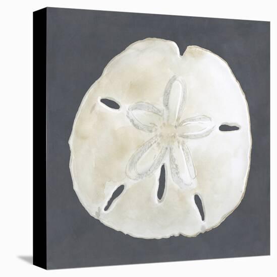 Shell on Slate II-Megan Meagher-Stretched Canvas