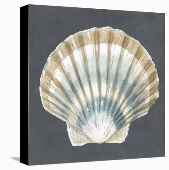 Shell on Slate III-Megan Meagher-Stretched Canvas