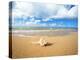 Shell on the Beach-null-Premier Image Canvas